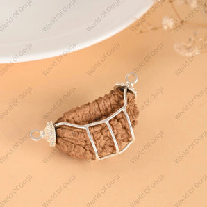 1 Mukhi Rudraksha - WorldOfOorja