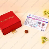 10 Mukhi Rudraksha - WorldOfOorja
