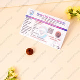 10 Mukhi Rudraksha - WorldOfOorja