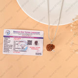 10 Mukhi Rudraksha (Nepal) - WorldOfOorja