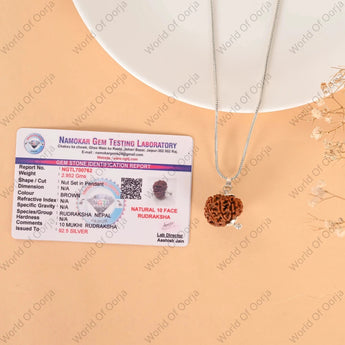 10 Mukhi Rudraksha (Nepal) - WorldOfOorja