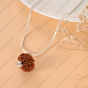 11 Mukhi Rudraksha (Nepal) - WorldOfOorja