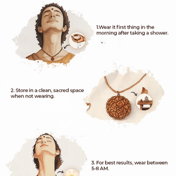 12 Mukhi Rudraksha (Nepal) - WorldOfOorja