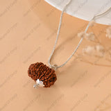 12 Mukhi Rudraksha (Nepal) - WorldOfOorja