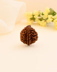 2 Mukhi Rudraksha - WorldOfOorja