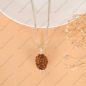 2 Mukhi Rudraksha - WorldOfOorja