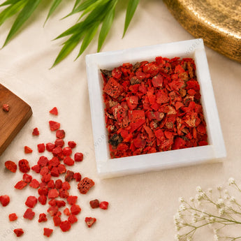 Natural Red Coral Chips – Moonga for Courage & Drive – view 5