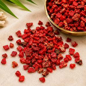 Natural Red Coral Chips – Moonga for Courage & Drive
