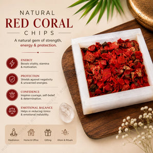 Natural Red Coral Chips – Moonga for Courage & Drive