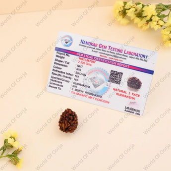 Authentic Nepal 3 face Rudraksha bead for spiritual upliftment
