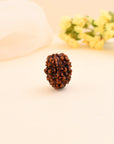 3 Mukhi Rudraksha - WorldOfOorja