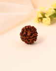 4 Mukhi Rudraksha - WorldOfOorja