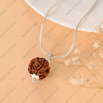 4 Mukhi Rudraksha - WorldOfOorja