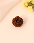 4 Mukhi Rudraksha - WorldOfOorja