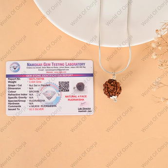 4 Mukhi Rudraksha - WorldOfOorja