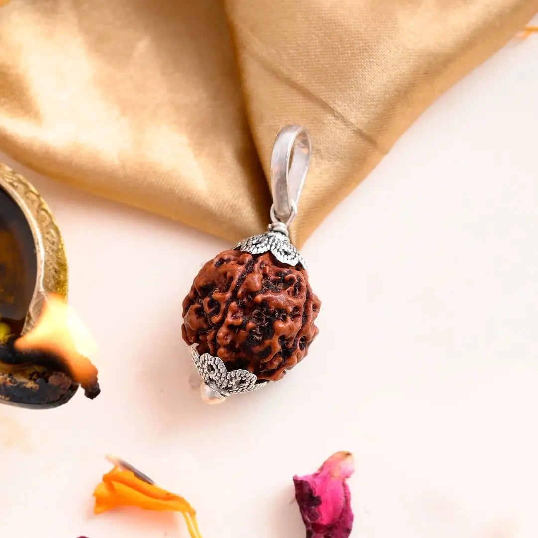 5 Mukhi Rudraksha - WorldOfOorja