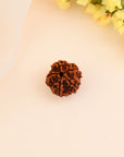 5 Mukhi Rudraksha - WorldOfOorja