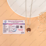 5 Mukhi Rudraksha - WorldOfOorja