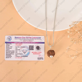 5 Mukhi Rudraksha - WorldOfOorja