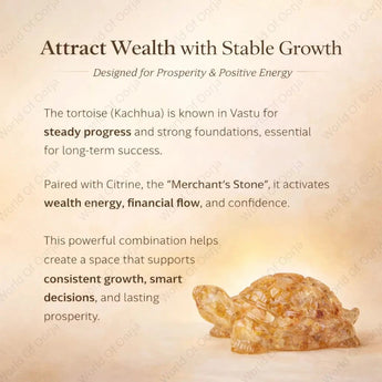 World of Oorja Citrine and Pyrite tortoise combo for wealth attraction and abundance