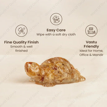 World of Oorja natural Citrine Kachhua for abundance and financial growth