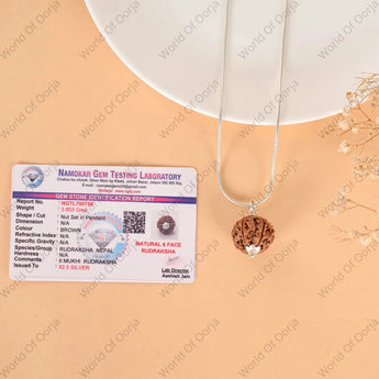 6 Mukhi Rudraksha - WorldOfOorja