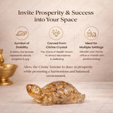 World of Oorja Vastu Citrine Tortoise Kachhua for wealth, prosperity and success