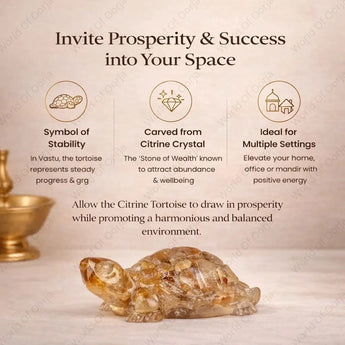 World of Oorja Vastu Citrine Tortoise Kachhua for wealth, prosperity and success