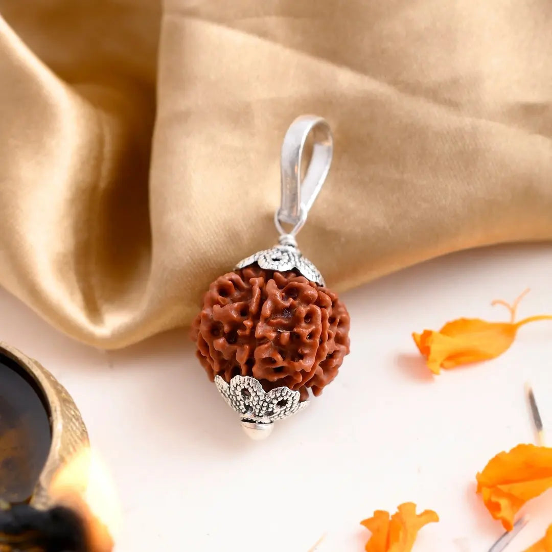 7 Mukhi Rudraksha - WorldOfOorja