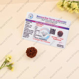 Certified 7 Mukhi Rudraksha - WorldOfOorja