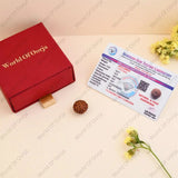 lab certified 8 Mukhi Rudraksha - WorldOfOorja