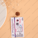 8 Mukhi Rudraksha (Nepal) - WorldOfOorja