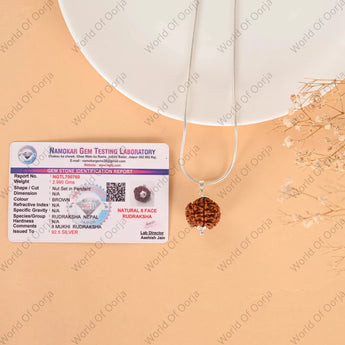 8 Mukhi Rudraksha (Nepal) - WorldOfOorja