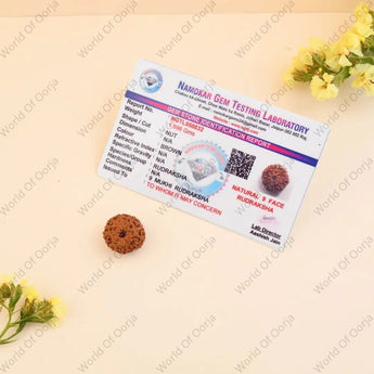 Certified 9 Mukhi Rudraksha - WorldOfOorja