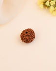 9 Mukhi Rudraksha - WorldOfOorja