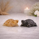 World of Oorja Vastu Wealth Magnet Tortoise Combo with Citrine and Pyrite for prosperity