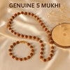 Divine Balance Rudraksha Set