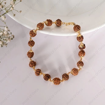 Bracelet with brown beads and gold chain on a white background