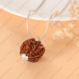 Authentic seven-faced Rudraksha with lab certification – rare Nepal variety