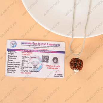 Lab Tested 7-faced Rudraksha from Nepal 