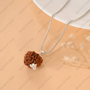 Spiritual 10 Mukhi Rudraksha  bracelet for meditation and energy balance