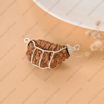 Energized and authentic 1 Mukhi Rudraksha for spiritual growth