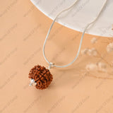 Premium 8 Mukhi Rudraksha seed for spiritual use