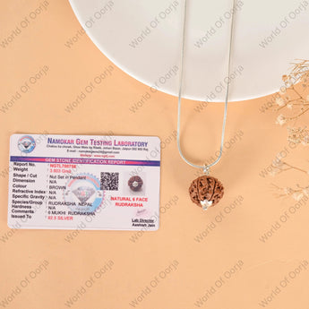 Certified 6 Mukhi Rudraksha – natural and energized for wellbeing