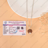 lab-tested 5 Mukhi Rudraksha