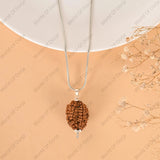 Spiritual 2 Mukhi Rudraksha for enhancing inner peace