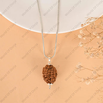 Spiritual 2 Mukhi Rudraksha for enhancing inner peace