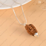 Energized 2 Mukhi Rudraksha bead for meditation and spiritual growth