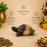 Crystal turtle figurine details 