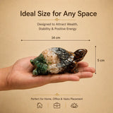 Dhan Yog Tortoise  held in a hand with measurements 
